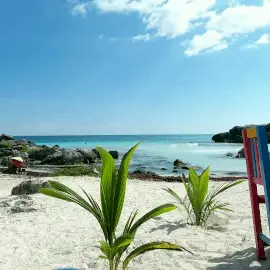 Cinemagraph Cinemagraph